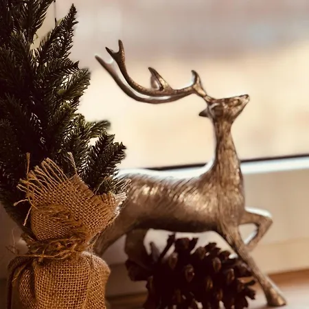 Morze Na Zawsze * רבאל